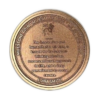 Aquarius Coin (copper, tails)