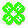 RUSSELL COUNTY SHAPE CUT LOGO STICKER - Image 3
